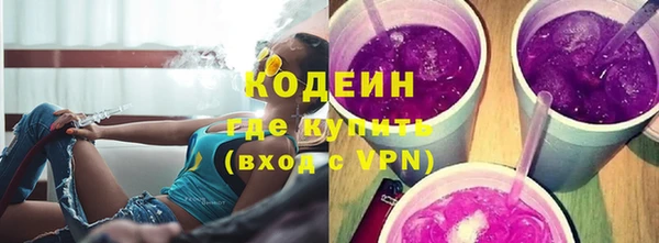 крисы Богородицк