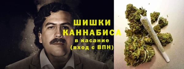 крисы Богородицк