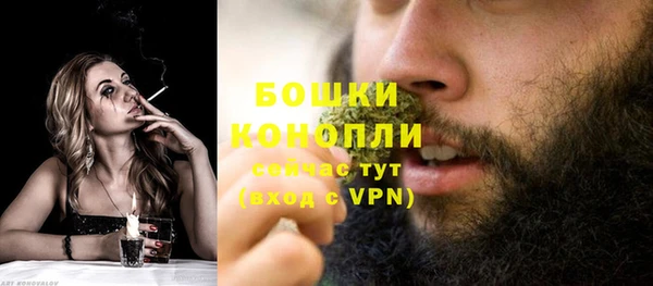 крисы Богородицк