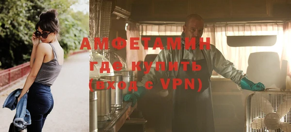 крисы Богородицк