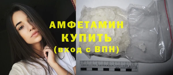 крисы Богородицк