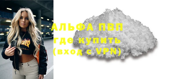 крисы Богородицк