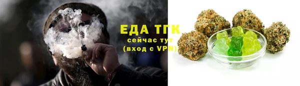 крисы Богородицк