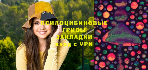 крисы Богородицк