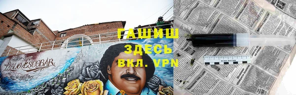 крисы Богородицк
