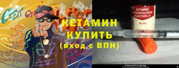 крисы Богородицк